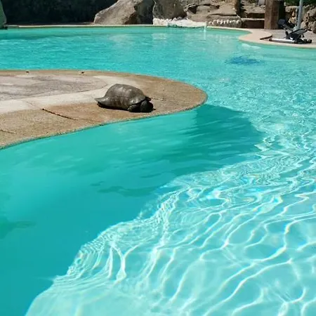 Cozy 35 M² + Pool פורטו רוטונדו