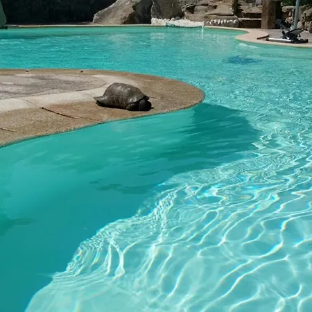 Cozy 35 M² + Pool Apartmán *