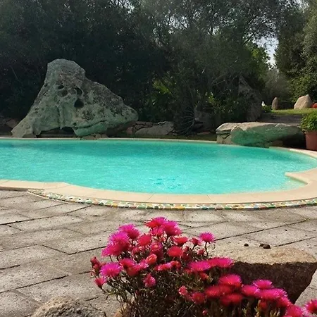Cozy 35 M² + Pool * Porto Rotondo